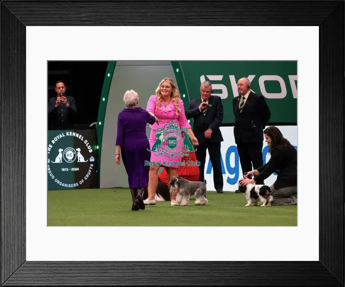 Framed Print : D-C-D-0-1-9-0 Crufts 2024 NEC Birmingham Day 1 Framed Print : D-C-D-0-1-9-0 Crufts 2024 NEC Birmingham Day 1