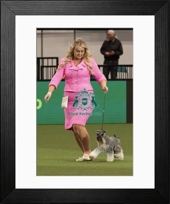 Framed Print : D-C-D-0-1-9-0 Crufts 2024 NEC Birmingham Day 1