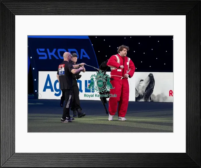 Framed Print : D-C-D-0-1-9-0 Crufts 2024 NEC Birmingham Day 1 Framed Print : D-C-D-0-1-9-0 Crufts 2024 NEC Birmingham Day 1