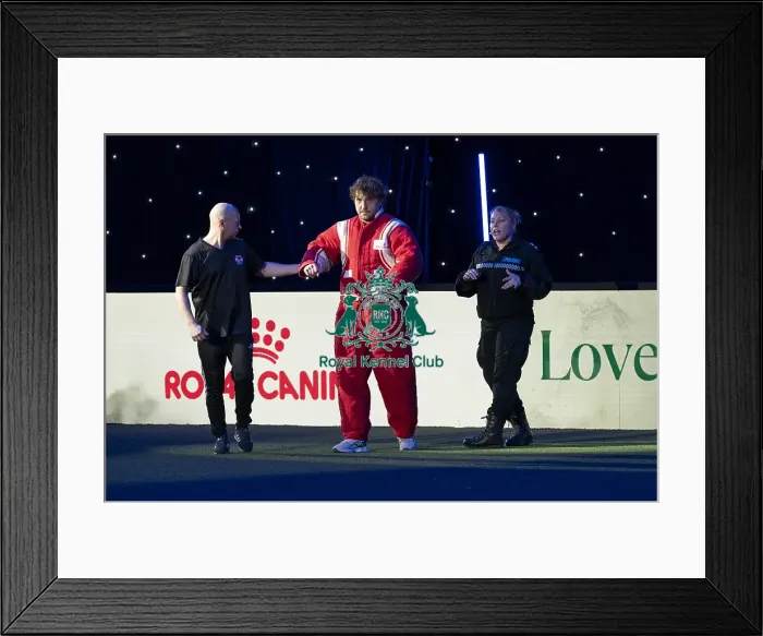 Framed Print : D-C-D-0-1-9-0 Crufts 2024 NEC Birmingham Day 1 Framed Print : D-C-D-0-1-9-0 Crufts 2024 NEC Birmingham Day 1