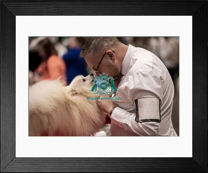 Framed Print : D-C-D-0-1-9-0 Crufts 2024 NEC Birmingham Utility Framed Print : D-C-D-0-1-9-0 Crufts 2024 NEC Birmingham Utility