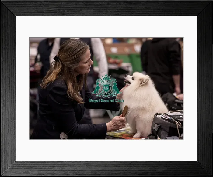 Framed Print : D-C-D-0-1-9-0 Crufts 2024 NEC Birmingham Utility Framed Print : D-C-D-0-1-9-0 Crufts 2024 NEC Birmingham Utility