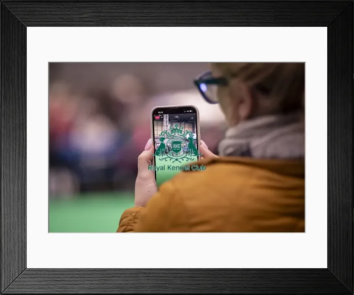 Framed Print : D-C-D-0-1-9-0 Crufts 2024 NEC Birmingham Utility Framed Print : D-C-D-0-1-9-0 Crufts 2024 NEC Birmingham Utility