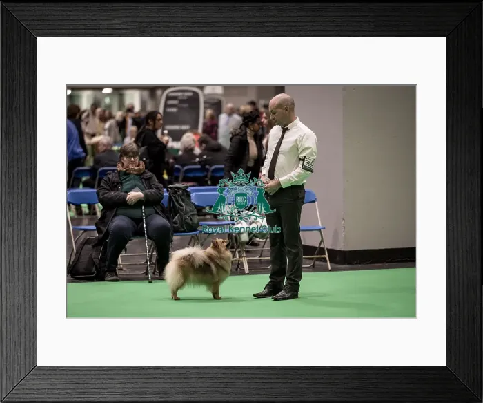 Framed Print : D-C-D-0-1-9-0 Crufts 2024 NEC Birmingham Utility Framed Print : D-C-D-0-1-9-0 Crufts 2024 NEC Birmingham Utility