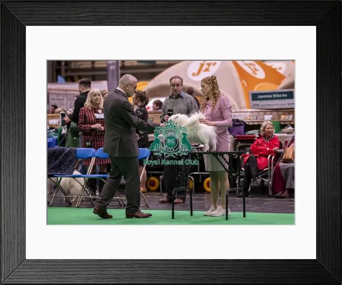 Framed Print : D-C-D-0-1-9-0 Crufts 2024 NEC Birmingham Utility Framed Print : D-C-D-0-1-9-0 Crufts 2024 NEC Birmingham Utility