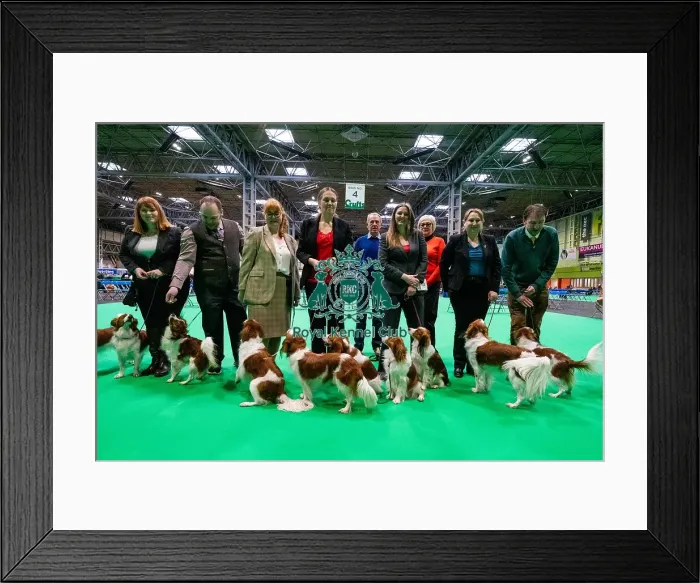 Framed Print : D-C-D-0-1-9-0 Crufts 2024 NEC Birmingham Utility Framed Print : D-C-D-0-1-9-0 Crufts 2024 NEC Birmingham Utility