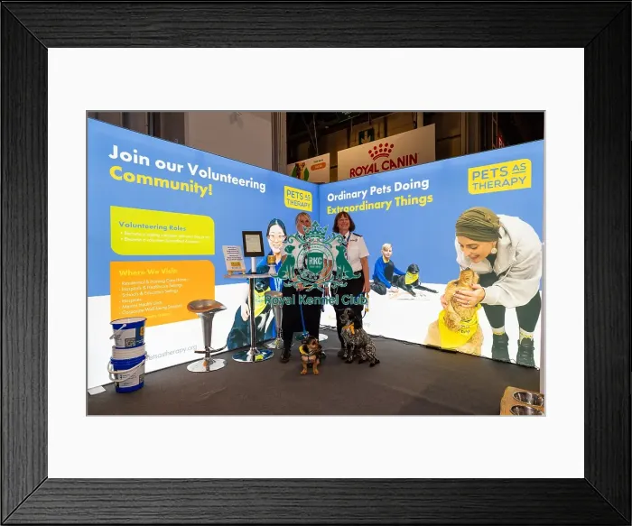Framed Print : D-C-D-0-1-9-0 Crufts 2024 NEC Birmingham Day 1
