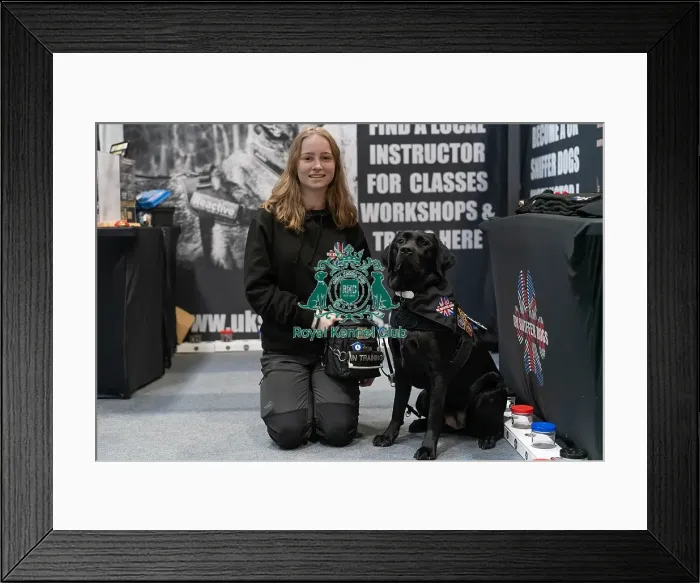 Framed Print : D-C-D-0-1-9-0 Crufts 2024 NEC Birmingham Day 1 Framed Print : D-C-D-0-1-9-0 Crufts 2024 NEC Birmingham Day 1