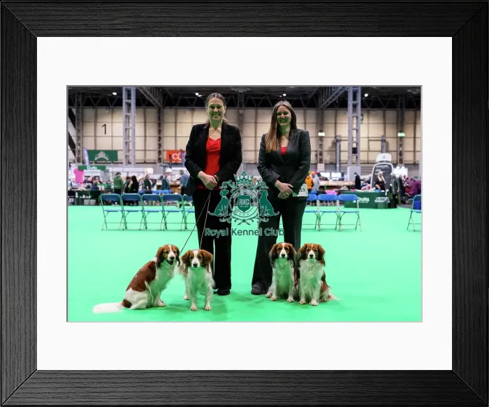 Framed Print : D-C-D-0-1-9-0 Crufts 2024 NEC Birmingham Utility Framed Print : D-C-D-0-1-9-0 Crufts 2024 NEC Birmingham Utility