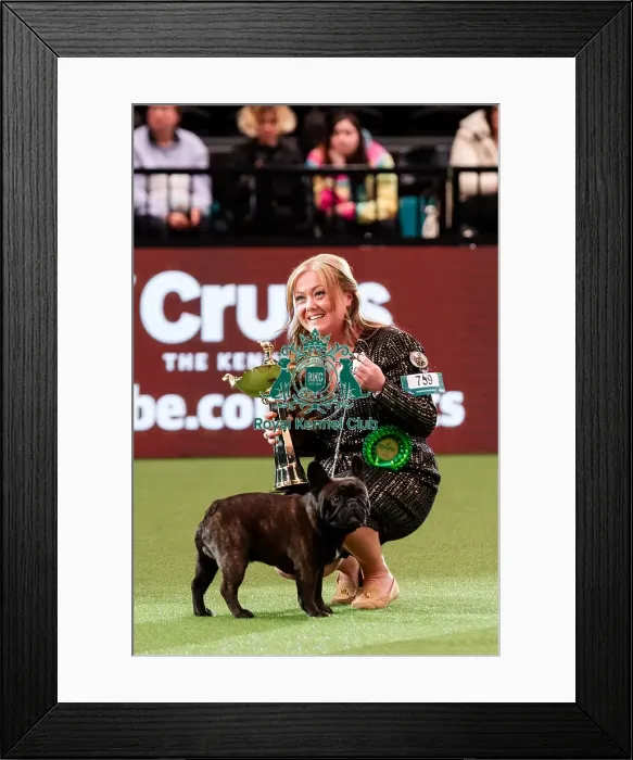 Framed Print : D-C-D-0-1-9-0 Crufts 2024 NEC Birmingham Day 1 Framed Print : D-C-D-0-1-9-0 Crufts 2024 NEC Birmingham Day 1