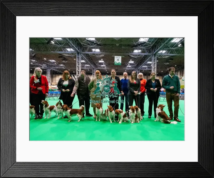 Framed Print : D-C-D-0-1-9-0 Crufts 2024 NEC Birmingham Utility