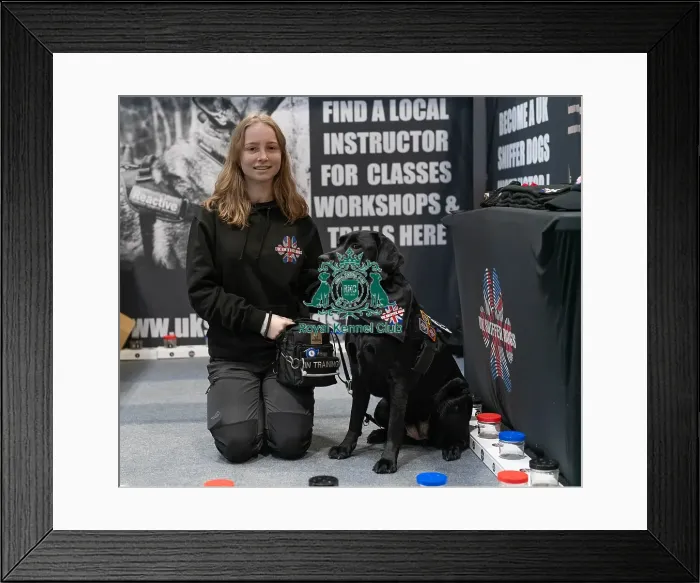 Framed Print : D-C-D-0-1-9-0 Crufts 2024 NEC Birmingham Day 1 Framed Print : D-C-D-0-1-9-0 Crufts 2024 NEC Birmingham Day 1