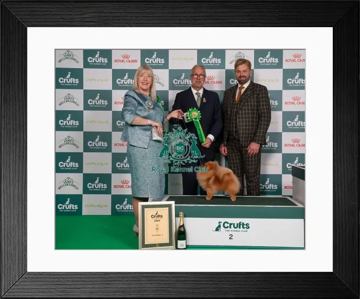 Framed Print : D-C-D-0-1-9-0 Crufts 2024 NEC Birmingham Toy