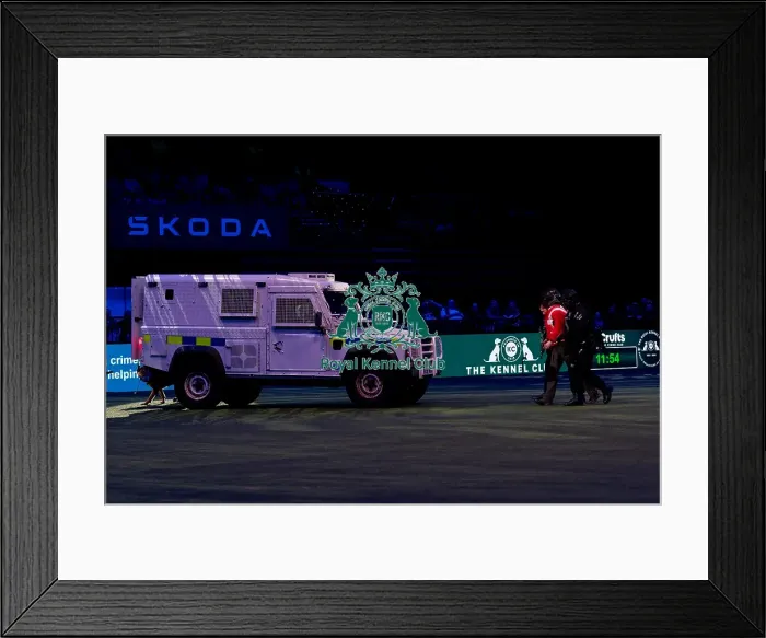 Framed Print : D-C-D-0-1-9-0 Crufts 2024 NEC Birmingham Day 1 Framed Print : D-C-D-0-1-9-0 Crufts 2024 NEC Birmingham Day 1