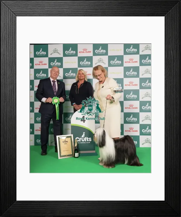 Framed Print : D-C-D-0-1-9-0 Crufts 2024 NEC Birmingham Utility Framed Print : D-C-D-0-1-9-0 Crufts 2024 NEC Birmingham Utility