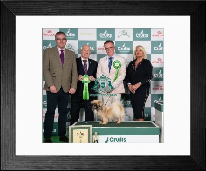 Framed Print : D-C-D-0-1-9-0 Crufts 2024 NEC Birmingham Utility
