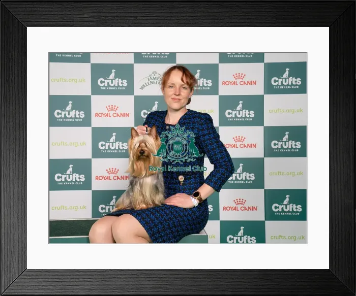 Framed Print : D-C-D-0-1-9-0 Crufts 2024 NEC Birmingham Toy Framed Print : D-C-D-0-1-9-0 Crufts 2024 NEC Birmingham Toy