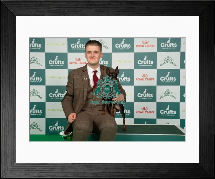 Framed Print : D-C-D-0-1-9-0 Crufts 2024 NEC Birmingham Toy Framed Print : D-C-D-0-1-9-0 Crufts 2024 NEC Birmingham Toy