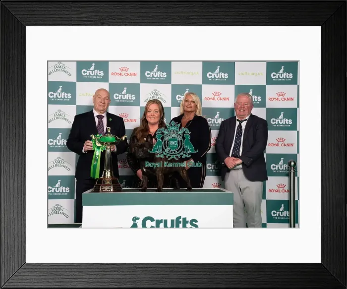 Framed Print : D-C-D-0-1-9-0 Crufts 2024 NEC Birmingham Utility Framed Print : D-C-D-0-1-9-0 Crufts 2024 NEC Birmingham Utility