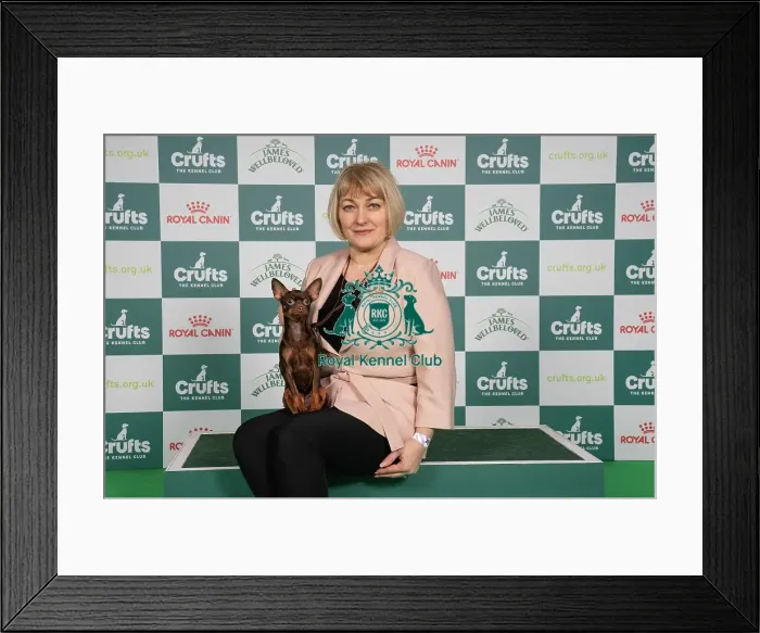 Framed Print : D-C-D-0-1-9-0 Crufts 2024 NEC Birmingham Toy