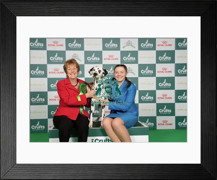 Framed Print : D-C-D-0-1-9-0 Crufts 2024 NEC Birmingham Utility