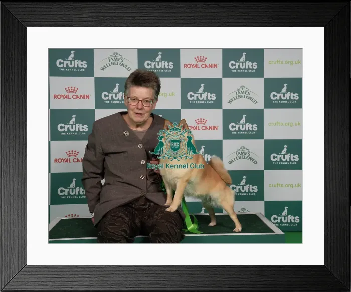 Framed Print : D-C-D-0-1-9-0 Crufts 2024 NEC Birmingham Utility Framed Print : D-C-D-0-1-9-0 Crufts 2024 NEC Birmingham Utility