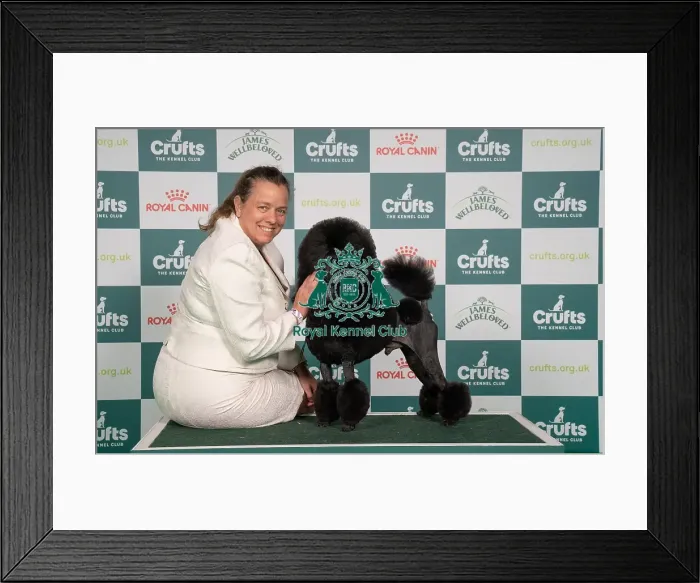 Framed Print : D-C-D-0-1-9-0 Crufts 2024 NEC Birmingham Utility Framed Print : D-C-D-0-1-9-0 Crufts 2024 NEC Birmingham Utility