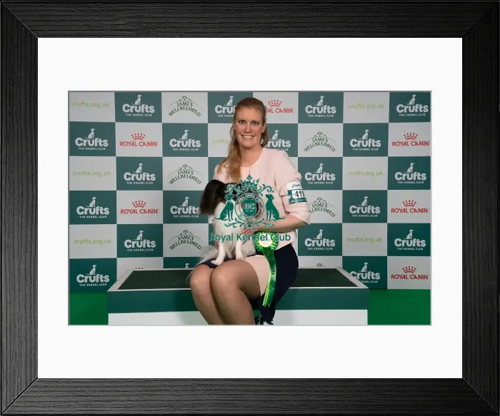 Framed Print : D-C-D-0-1-9-0 Crufts 2024 NEC Birmingham Toy Framed Print : D-C-D-0-1-9-0 Crufts 2024 NEC Birmingham Toy
