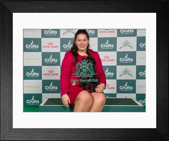 Framed Print : D-C-D-0-1-9-0 Crufts 2024 NEC Birmingham Toy Framed Print : D-C-D-0-1-9-0 Crufts 2024 NEC Birmingham Toy