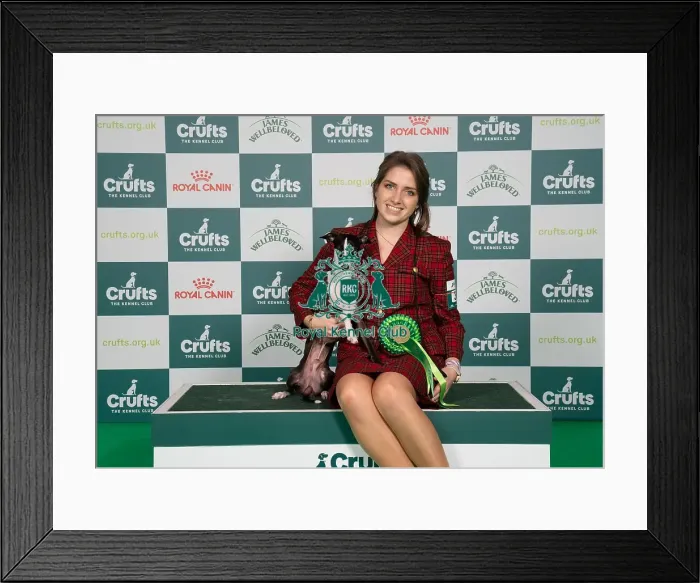 Framed Print : D-C-D-0-1-9-0 Crufts 2024 NEC Birmingham Toy Framed Print : D-C-D-0-1-9-0 Crufts 2024 NEC Birmingham Toy