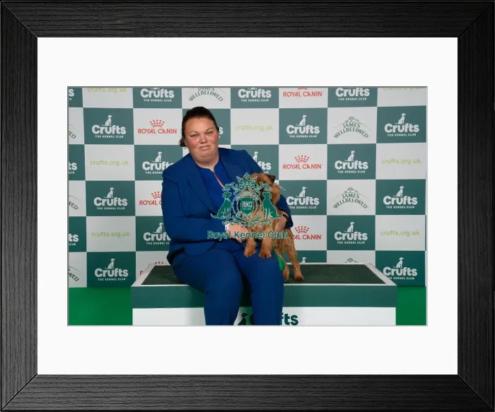Framed Print : D-C-D-0-1-9-0 Crufts 2024 NEC Birmingham Toy Framed Print : D-C-D-0-1-9-0 Crufts 2024 NEC Birmingham Toy