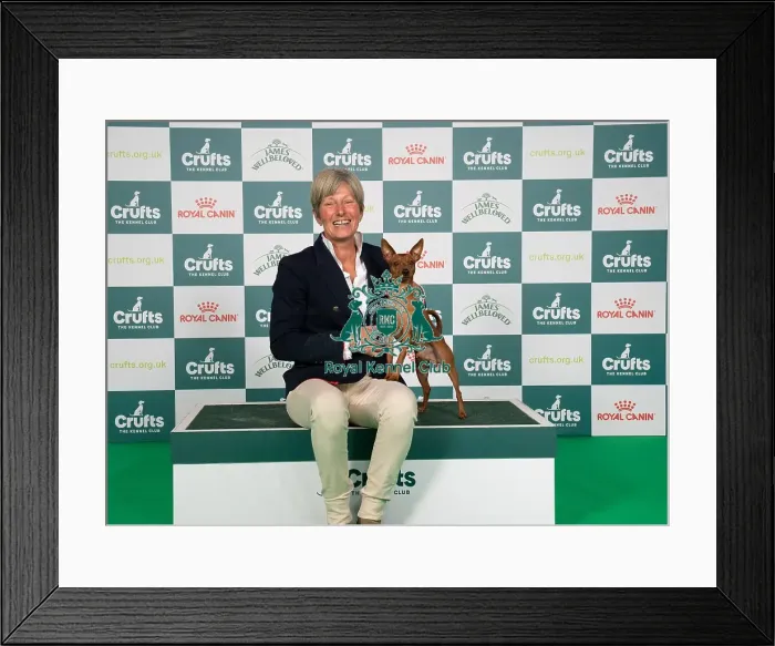 Framed Print : D-C-D-0-1-9-0 Crufts 2024 NEC Birmingham Toy Framed Print : D-C-D-0-1-9-0 Crufts 2024 NEC Birmingham Toy