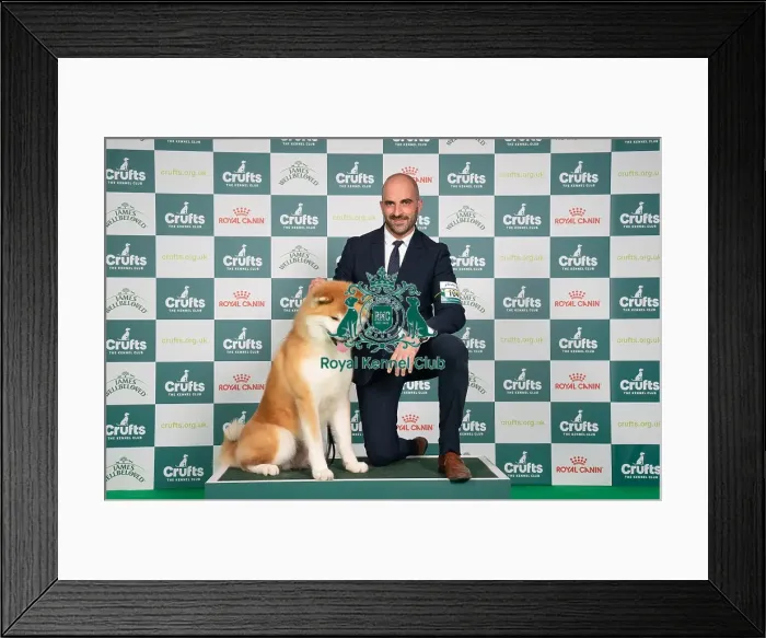 Framed Print : D-C-D-0-1-9-0 Crufts 2024 NEC Birmingham Utility Framed Print : D-C-D-0-1-9-0 Crufts 2024 NEC Birmingham Utility