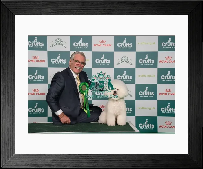 Framed Print : D-C-D-0-1-9-0 Crufts 2024 NEC Birmingham Toy