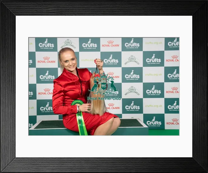 Framed Print : D-C-D-0-1-9-0 Crufts 2024 NEC Birmingham Toy