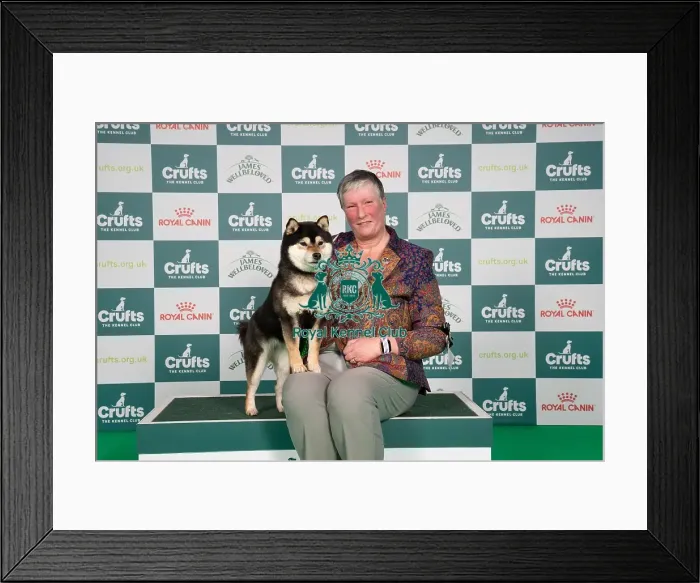 Framed Print : D-C-D-0-1-9-0 Crufts 2024 NEC Birmingham Utility Framed Print : D-C-D-0-1-9-0 Crufts 2024 NEC Birmingham Utility