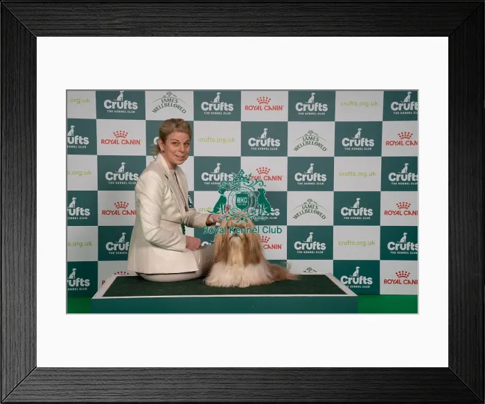 Framed Print : D-C-D-0-1-9-0 Crufts 2024 NEC Birmingham Utility Framed Print : D-C-D-0-1-9-0 Crufts 2024 NEC Birmingham Utility
