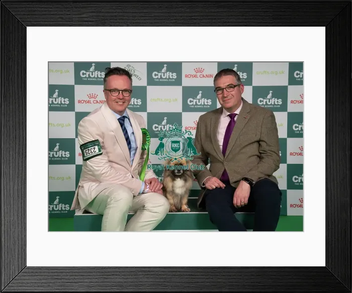 Framed Print : D-C-D-0-1-9-0 Crufts 2024 NEC Birmingham Utility