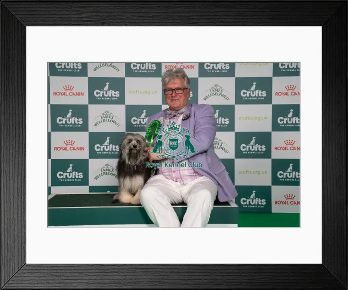 Framed Print : D-C-D-0-1-9-0 Crufts 2024 NEC Birmingham Utility Framed Print : D-C-D-0-1-9-0 Crufts 2024 NEC Birmingham Utility