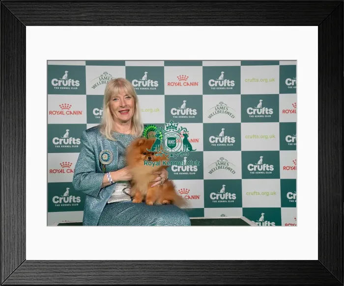 Framed Print : D-C-D-0-1-9-0 Crufts 2024 NEC Birmingham Toy