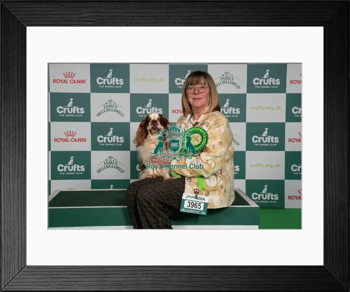Framed Print : D-C-D-0-1-9-0 Crufts 2024 NEC Birmingham Toy Framed Print : D-C-D-0-1-9-0 Crufts 2024 NEC Birmingham Toy