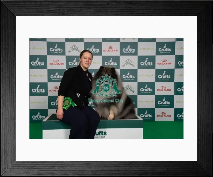 Framed Print : D-C-D-0-1-9-0 Crufts 2024 NEC Birmingham Utility Framed Print : D-C-D-0-1-9-0 Crufts 2024 NEC Birmingham Utility