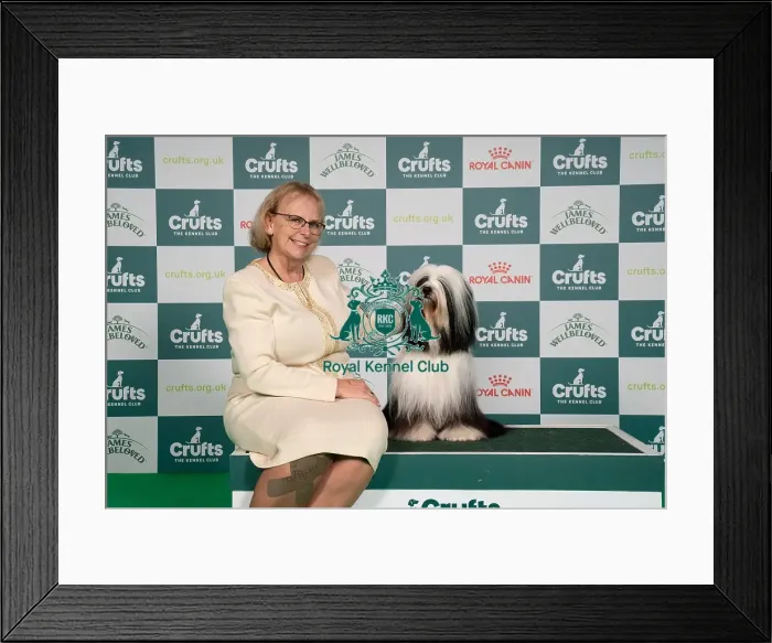 Framed Print : D-C-D-0-1-9-0 Crufts 2024 NEC Birmingham Utility Framed Print : D-C-D-0-1-9-0 Crufts 2024 NEC Birmingham Utility