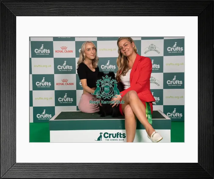 Framed Print : D-C-D-0-1-9-0 Crufts 2024 NEC Birmingham Utility Framed Print : D-C-D-0-1-9-0 Crufts 2024 NEC Birmingham Utility