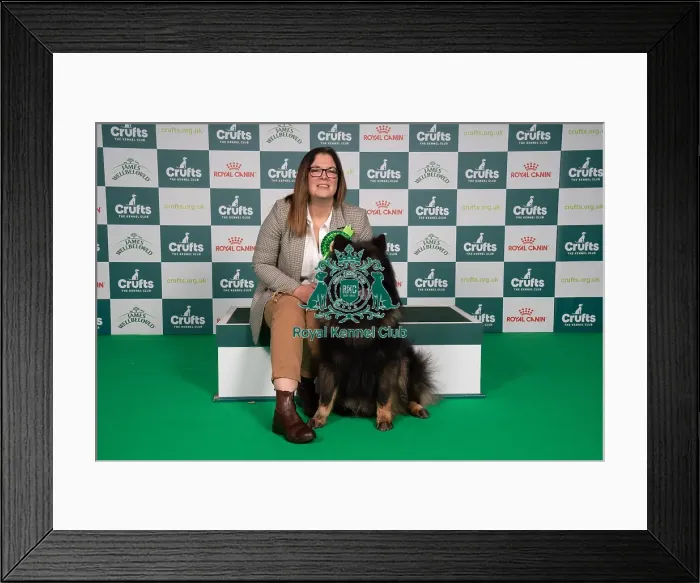 Framed Print : D-C-D-0-1-9-0 Crufts 2024 NEC Birmingham Utility Framed Print : D-C-D-0-1-9-0 Crufts 2024 NEC Birmingham Utility