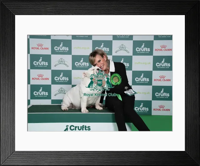 Framed Print : D-C-D-0-1-9-0 Crufts 2024 NEC Birmingham Utility