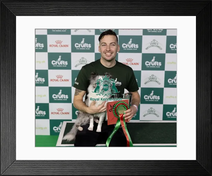 Framed Print : D-C-D-0-1-9-0 Crufts 2024 NEC Birmingham Day 1 Framed Print : D-C-D-0-1-9-0 Crufts 2024 NEC Birmingham Day 1