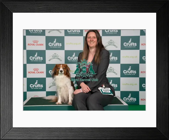 Framed Print : D-C-D-0-1-9-0 Crufts 2024 NEC Birmingham Utility