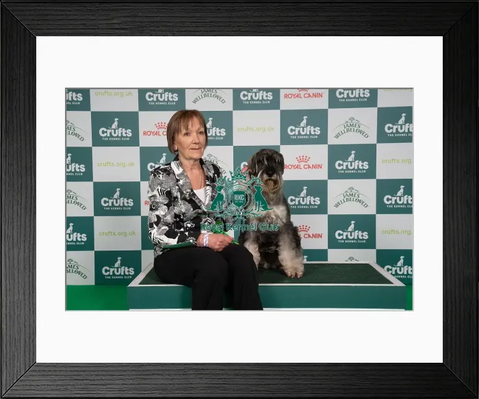 Framed Print : D-C-D-0-1-9-0 Crufts 2024 NEC Birmingham Utility Framed Print : D-C-D-0-1-9-0 Crufts 2024 NEC Birmingham Utility
