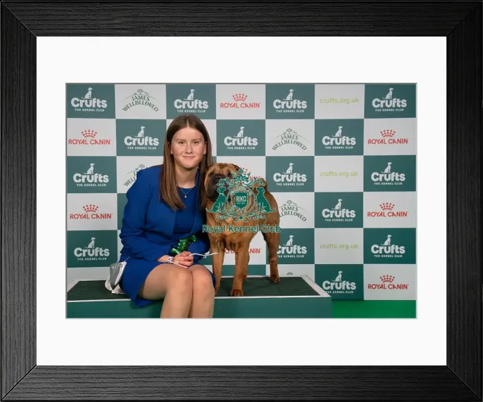 Framed Print : D-C-D-0-1-9-0 Crufts 2024 NEC Birmingham Utility Framed Print : D-C-D-0-1-9-0 Crufts 2024 NEC Birmingham Utility